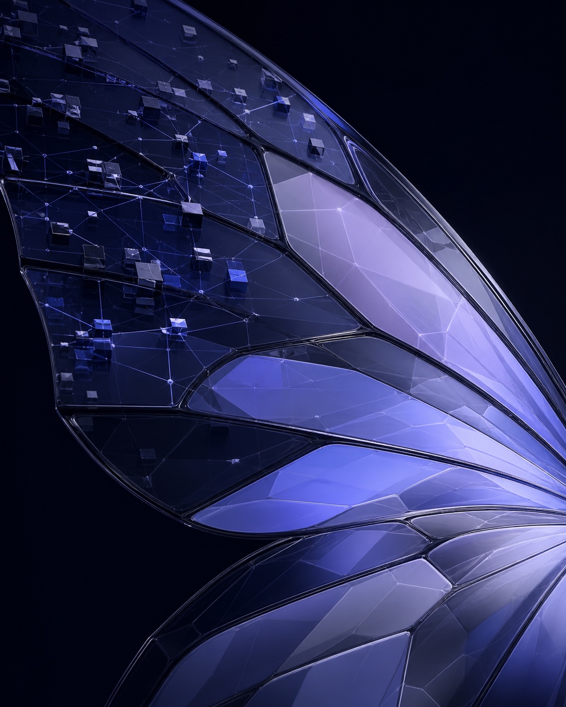 Faceted Caligo butterfly wing resolving into connected points